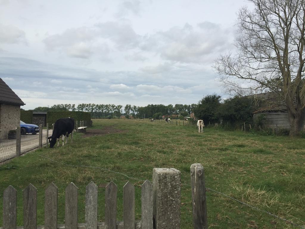 Vakantielogies Boerke Naas Vakantiehuis Brugge